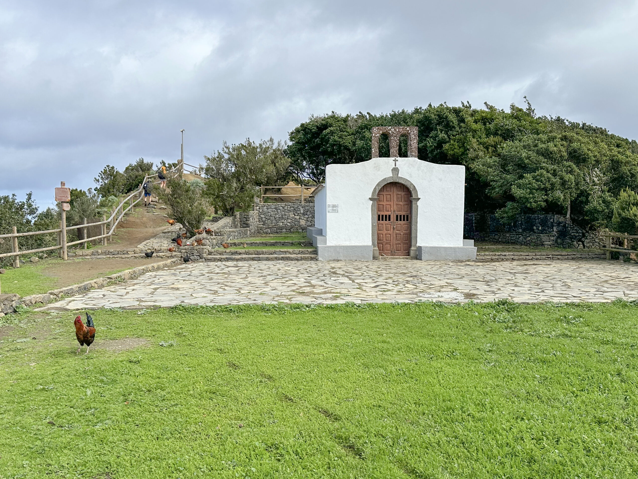 Santa Clara mit "Federvieh"