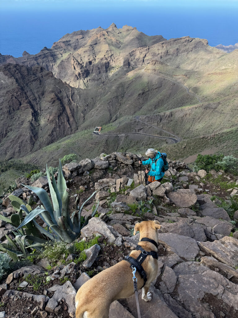 Descent path down from the rock face