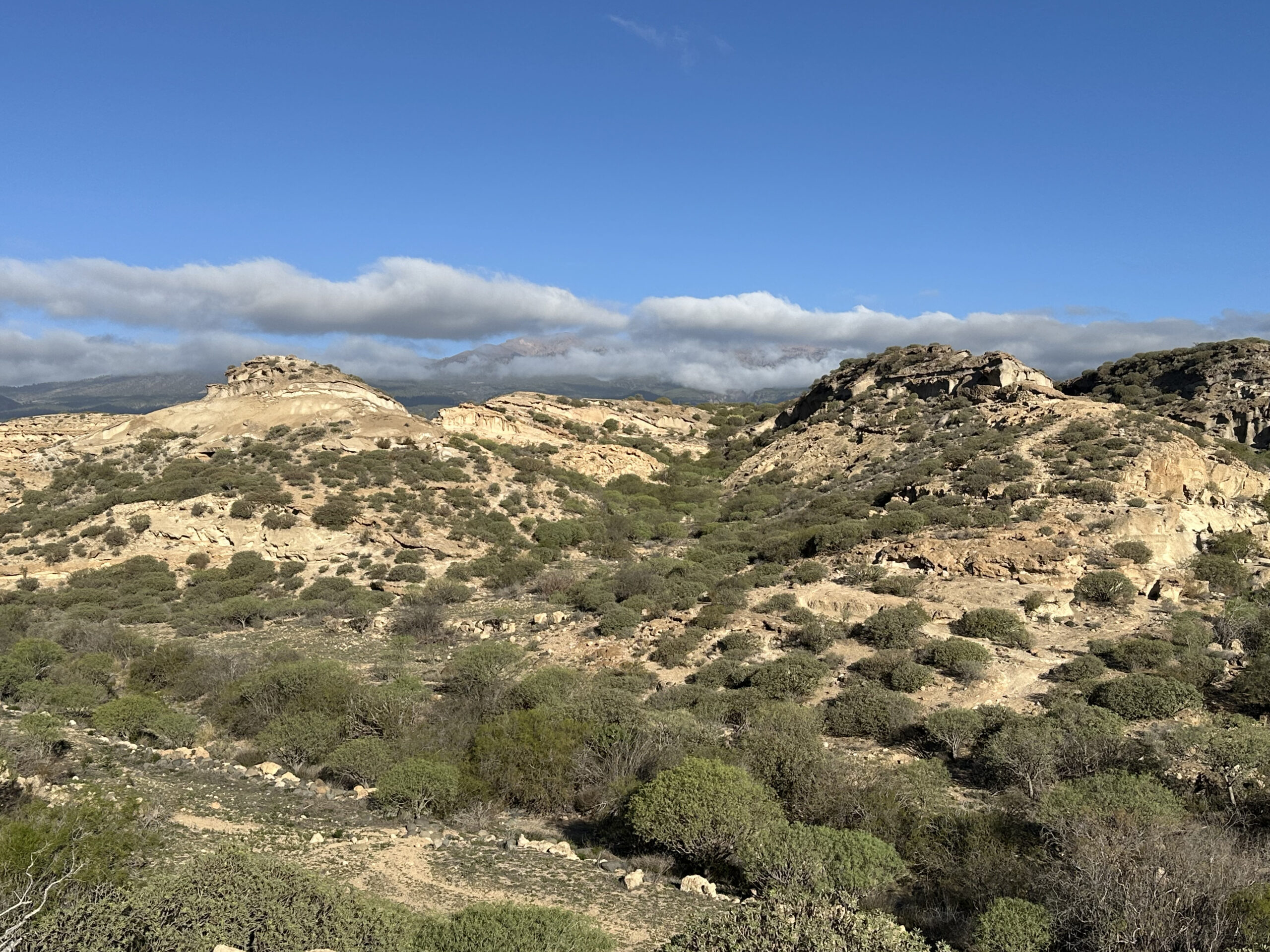 Barranco de las Monjas